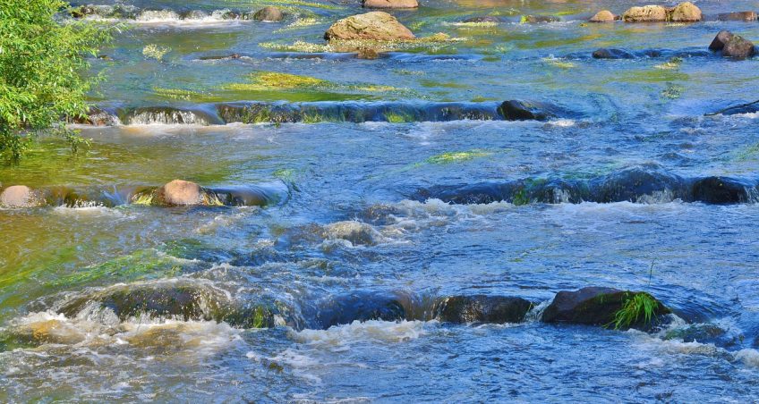 Summer School “SENTINEL FOR WATER RESOURCES”